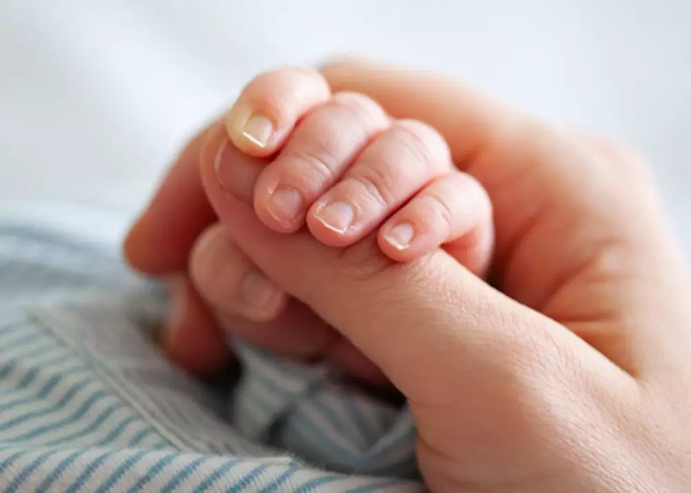 bebe-gisele-1000x714