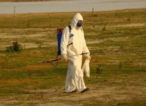 gripe-aviaria-e1707960344953