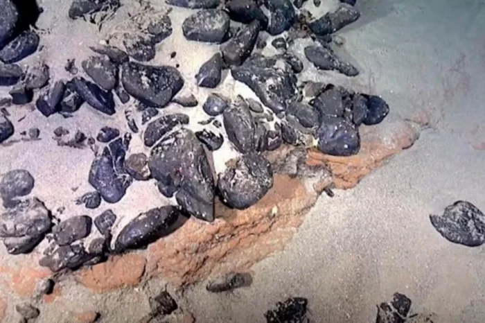 5321140_7f3b59dd7b0b804