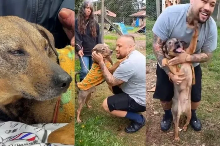 5351917_b29c0a2306a44ec