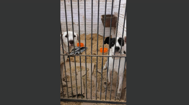 Captura de tela 2025-07-01 172018