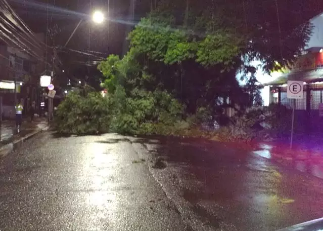 chuva2-e1705459951185