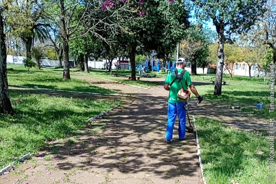 WhatsApp Image 2025-09-17 at 14.22.43 (1)