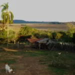 Lula assina 28 decretos de desapropriação em territórios quilombolas, mas medida levanta críticas