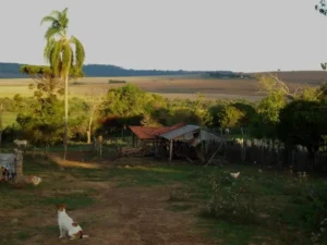 54ebbcd9-572b-4898-8656-01a5bcdc5ec3 (1)