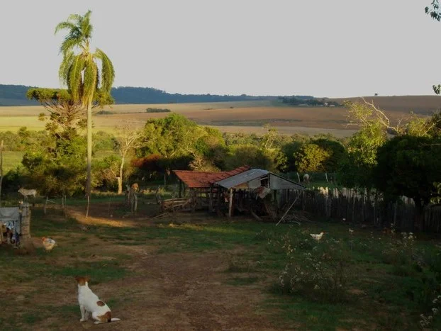 54ebbcd9-572b-4898-8656-01a5bcdc5ec3 (1)