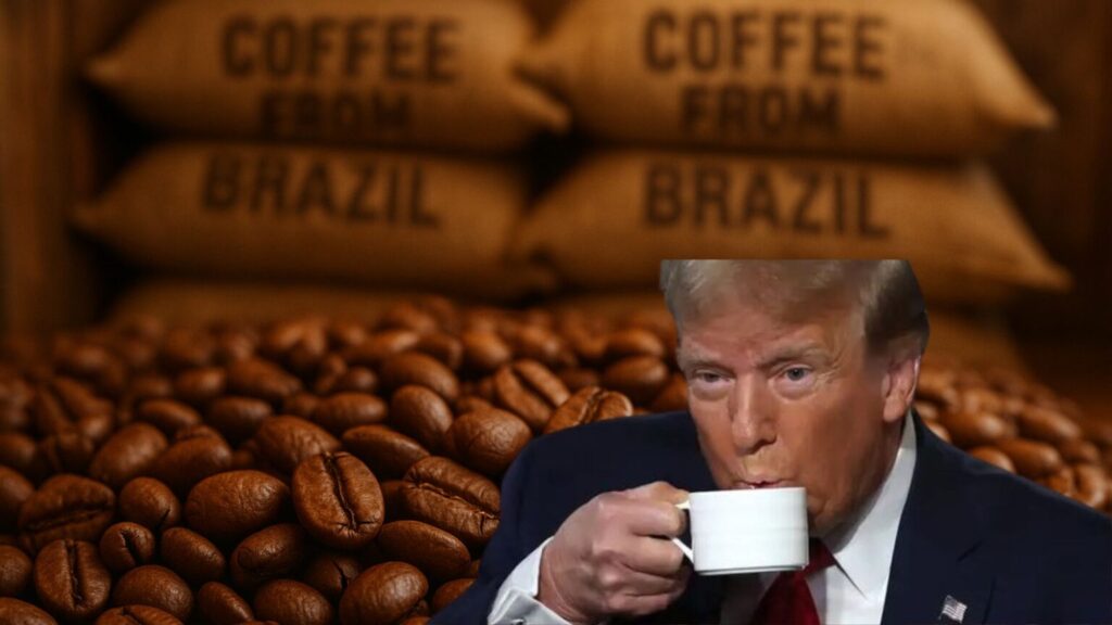 cafe-exportacao-brasil-mexico-eua-1536x864